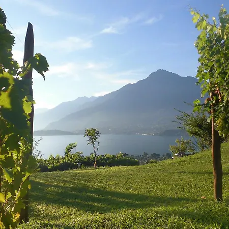 Camping Camping Colle Vento Domaso