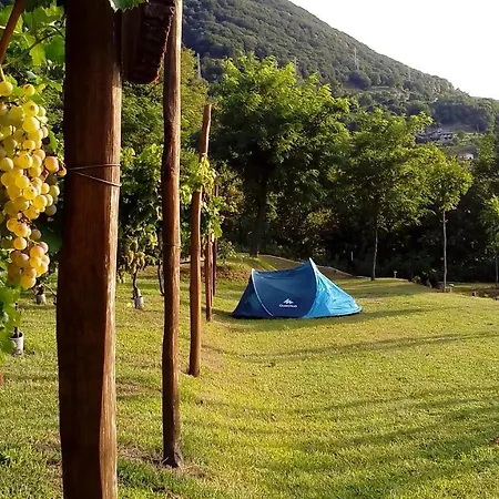 Camping Colle Vento Camping Domaso
