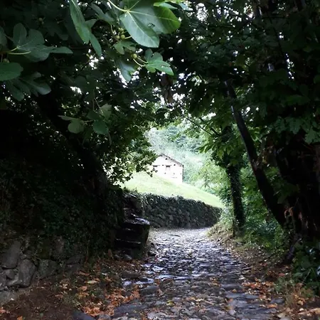 Camping Camping Colle Vento Domaso